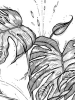 Ručne kreslená grafika, ilustrácia, motív od slovenskej umelkyne Deni Minar; Kolekcia Rastliny - Monstera