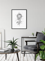 Ručne kreslená grafika, ilustrácia, motív od slovenskej umelkyne Deni Minar; Kolekcia Rastliny - Slnečnica - Obraz v obývačke