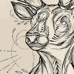 Ručne kreslená grafika, ilustrácia, motív od slovenskej umelkyne Deni Minar; Kolekcia Divé Zvieratá - Jeleň