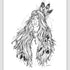 Ručne kreslená grafika, ilustrácia, motív od slovenskej umelkyne Deni Minar; Kolekcia Kulturne Motivy - Indianka