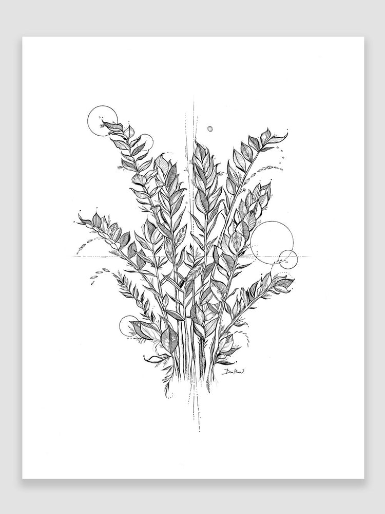Ručne kreslená grafika, ilustrácia, motív od slovenskej umelkyne Deni Minar; Kolekcia Rastliny - ZZ plant 
