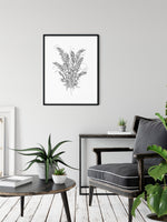 Ručne kreslená grafika, ilustrácia, motív od slovenskej umelkyne Deni Minar; Kolekcia Rastliny - ZZ plant - obraz v obývačke